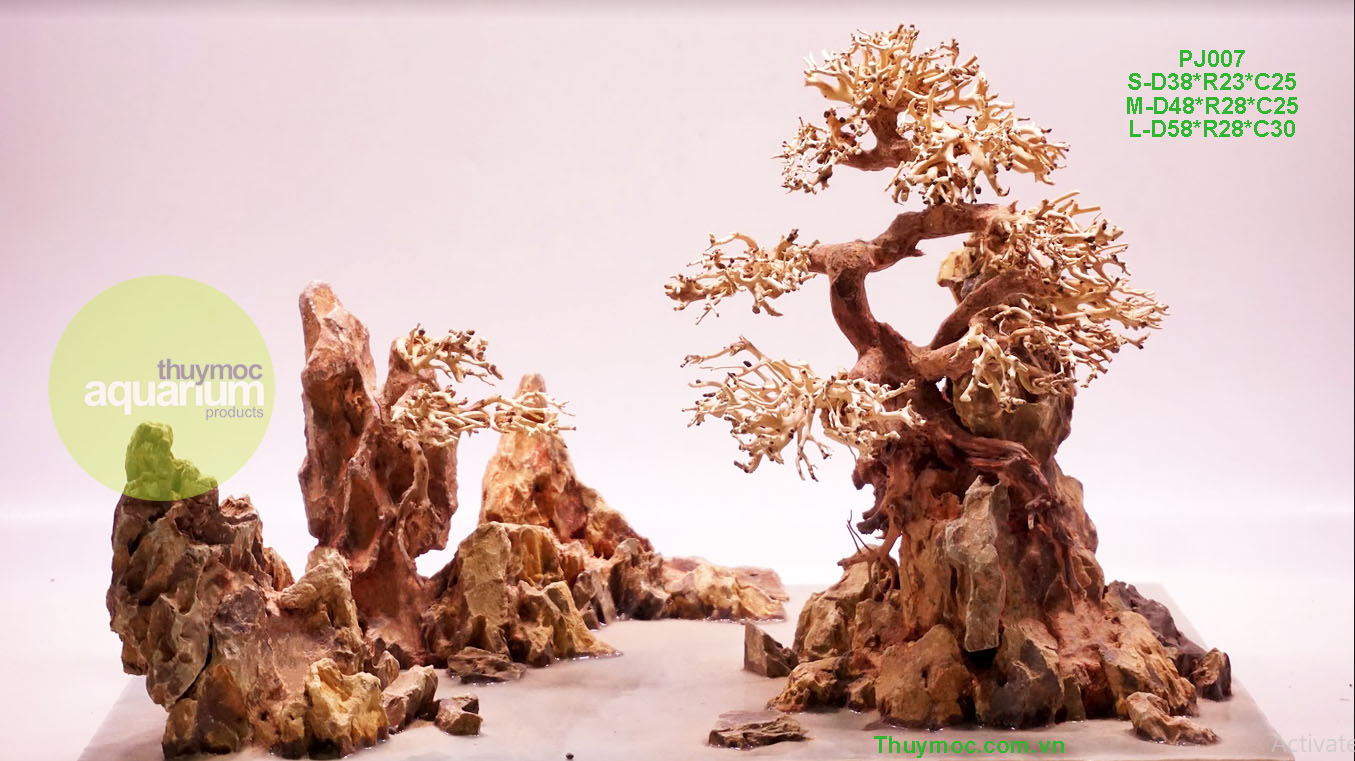 Trang trại Thuỷ Mộc Aquarium