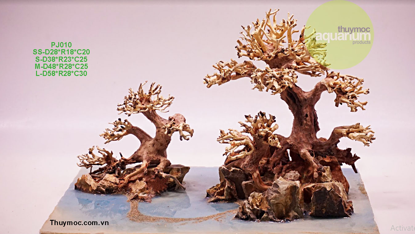 Trang trại Thuỷ Mộc Aquarium