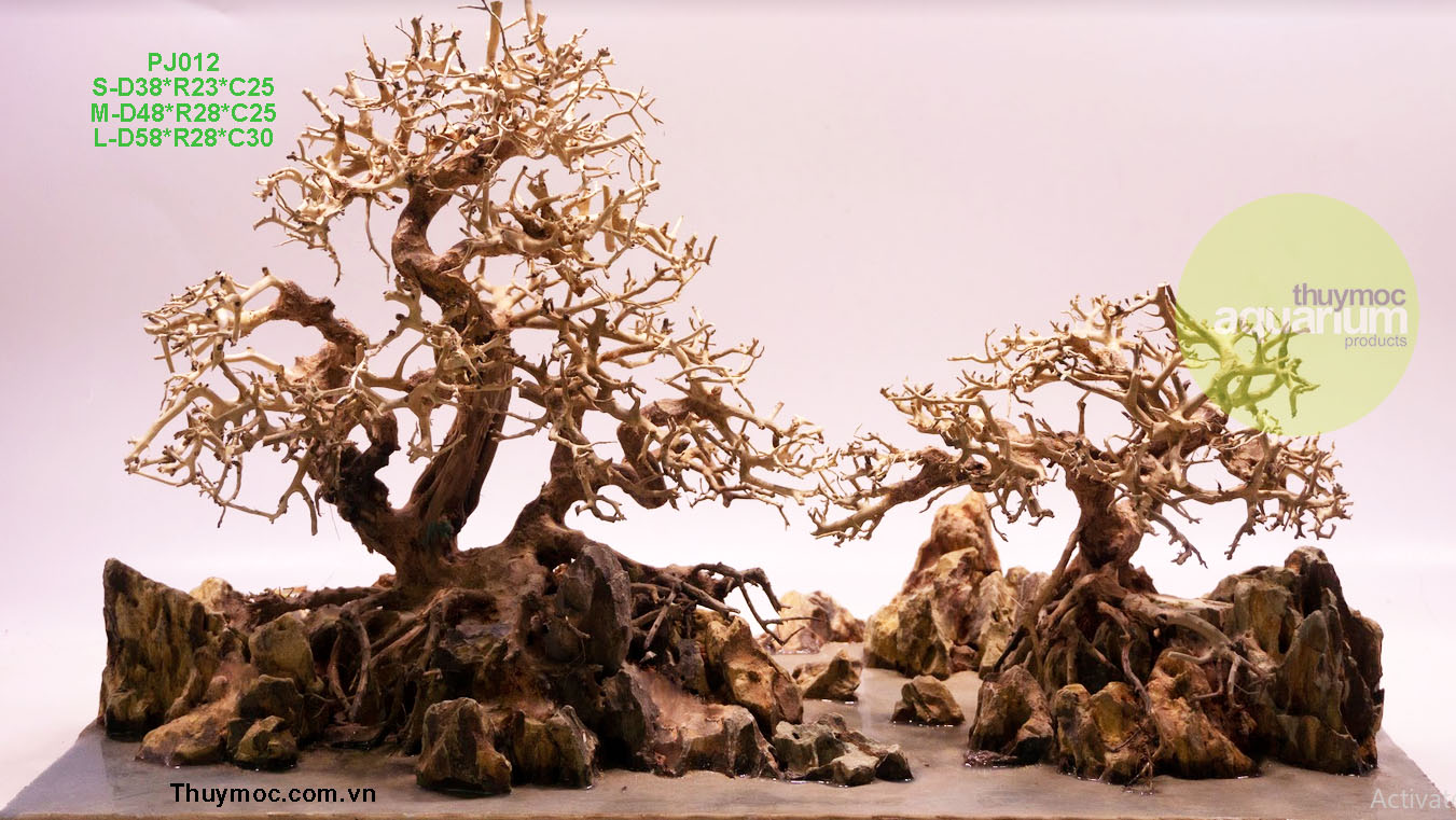 Trang trại Thuỷ Mộc Aquarium