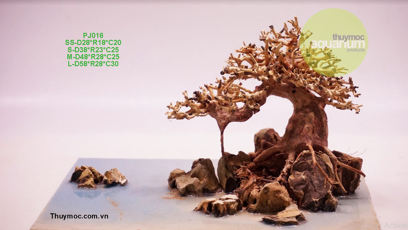 Trang trại Thuỷ Mộc Aquarium