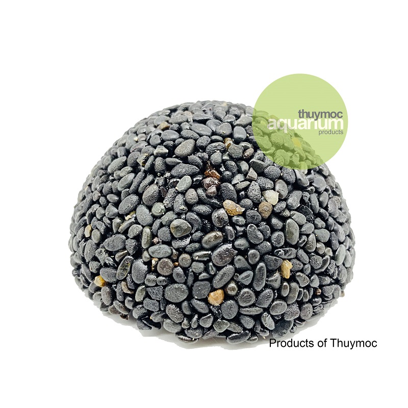 Trang trại Thuỷ Mộc Aquarium