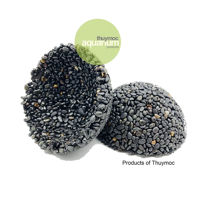 Trang trại Thuỷ Mộc Aquarium