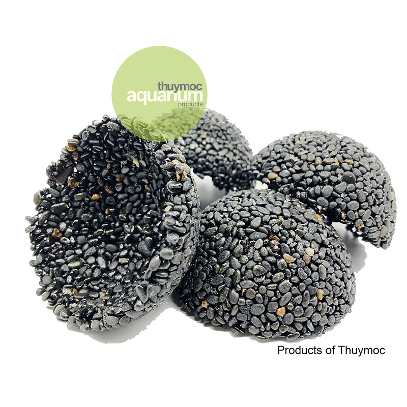 Trang trại Thuỷ Mộc Aquarium